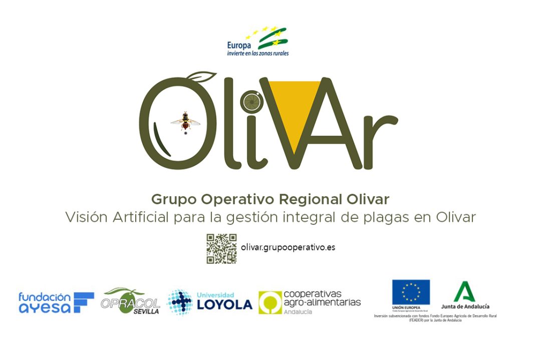 Visión artificial para la gestión integral de plagas en olivar (oliVAr)