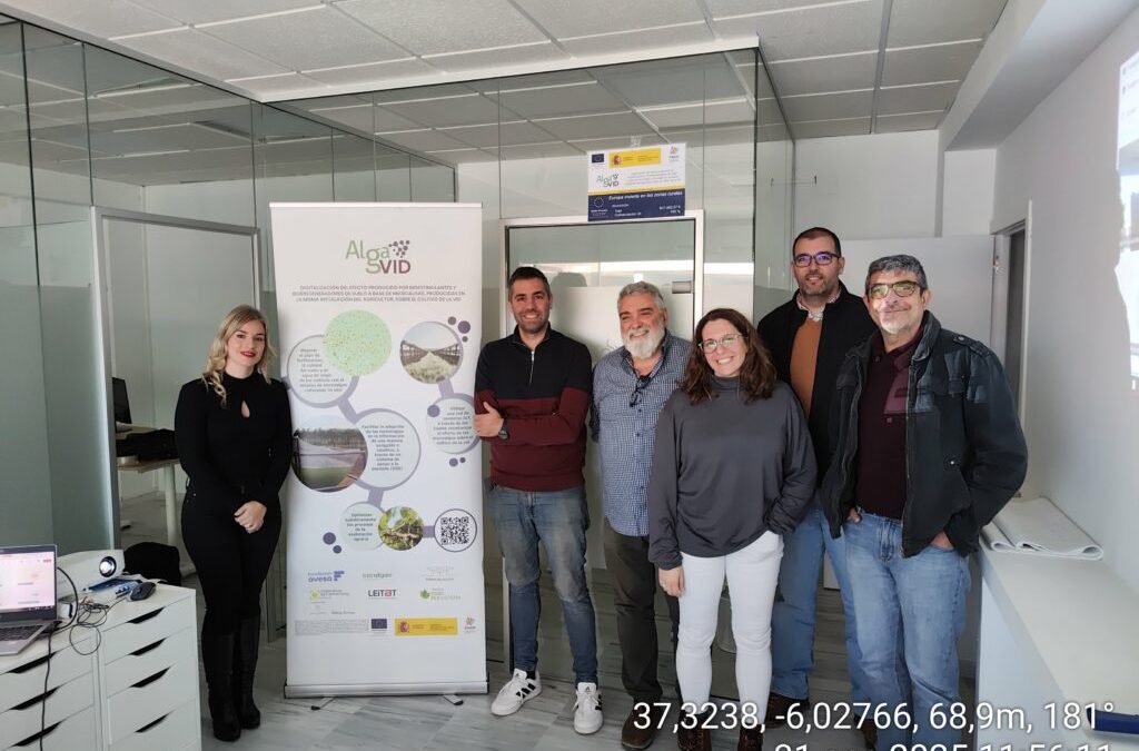 Innovación y Sostenibilidad en el Sector Agroalimentario