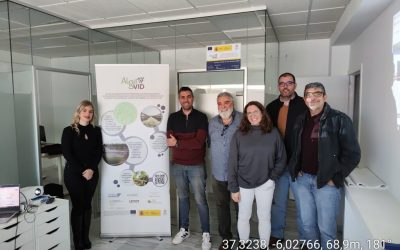 Innovación y Sostenibilidad en el Sector Agroalimentario